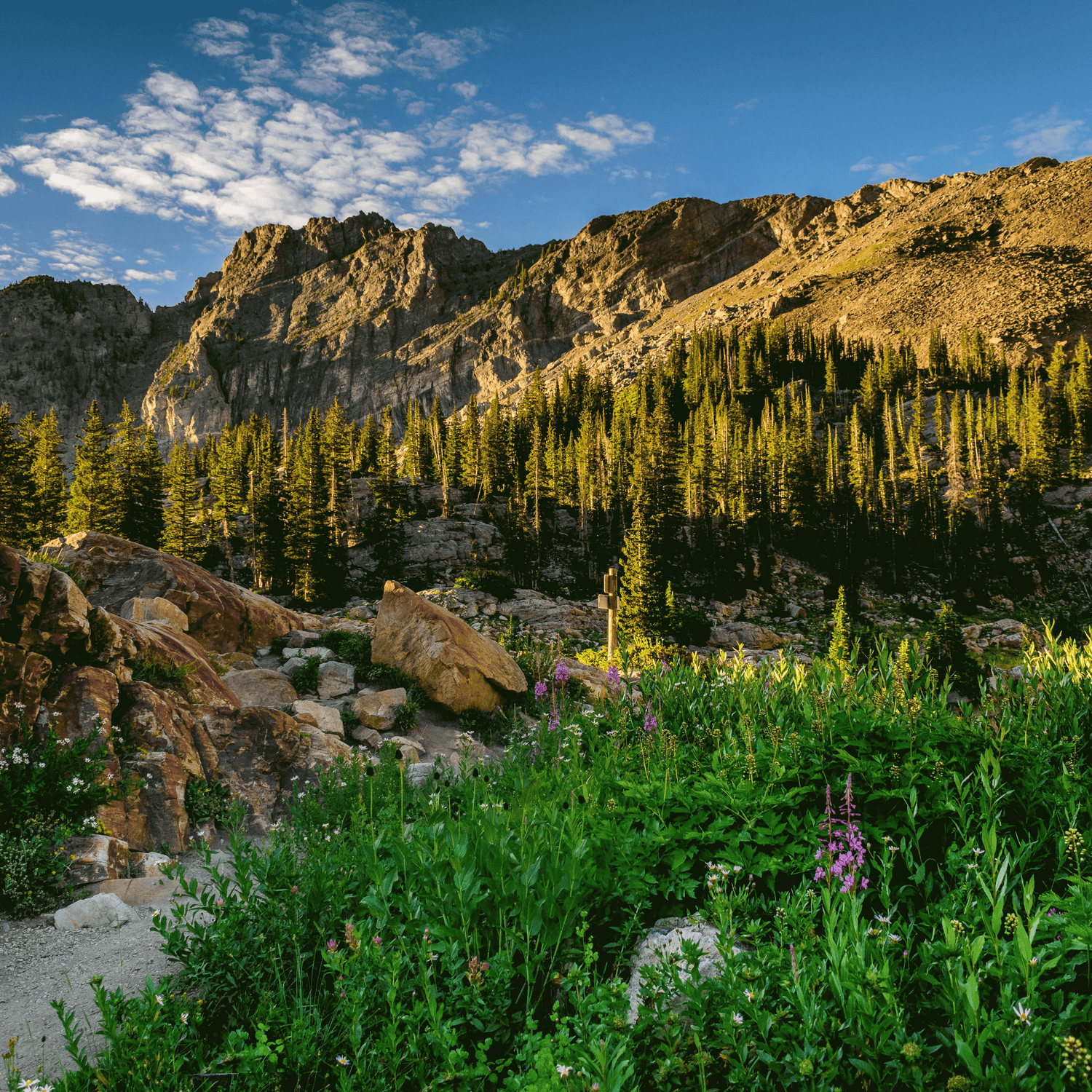 Utah